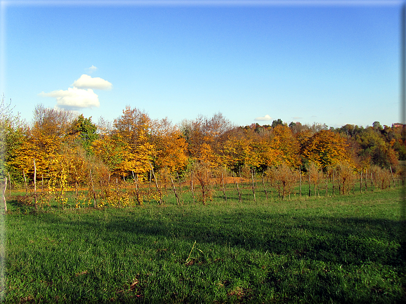 foto Paesaggi Autunnali tra le colline Fontesi